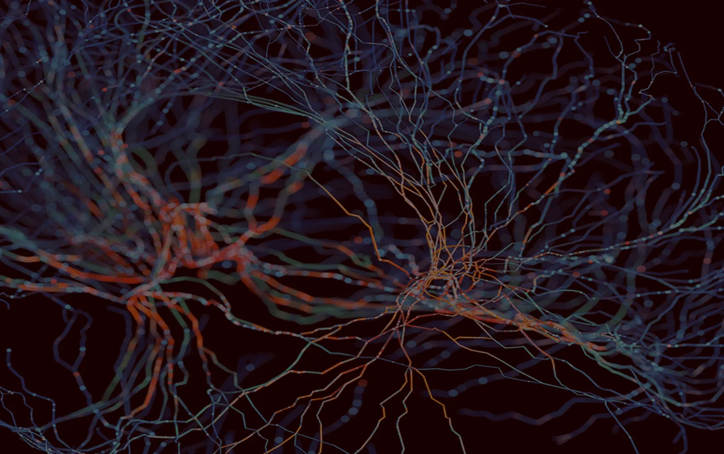 Brain neurons